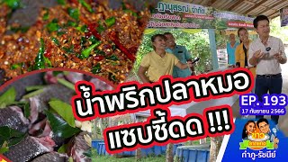 ทำสดๆ! น้ำพริกปลาหมอสุดซี้ด!! กลางสวนยางตรัง | ข่าวราดแกงกำภูรัชนีย์ EP.193 (17 ก.ย.66)