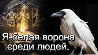 Я- белая ворона среди людей.