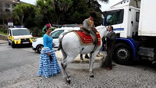 DAMAS GOYESCA y los CABALLOS ANDALUCES