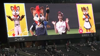 20210508 「ファイターズ 手あそびうた」を進行するファイターズガール小玉悠乃さん