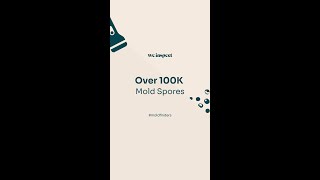 Over 100K Mold Spores