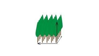 Field-Map Coppice - Introduction
