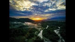 Manu National Park from drone perspective. Discover Amazon Jungle in Peru