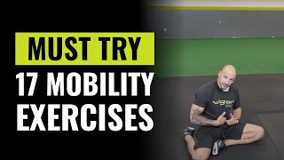 17 Mobility And Stability Exercises You MUST Try - Vigor Ground Fitness