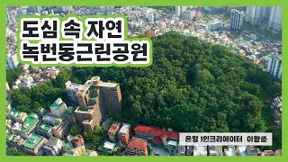 [🎥은평 1인 크리에이터] 도심 속 자연, 녹번동근린공원