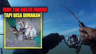 SERASA DI KOLAM! Mancing di pulau penibung menggunakan tehnik ini bisa strike terus!