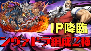 【シヴァドラ】JP降臨の周回編成を2種類紹介！【パズドラ】