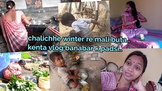 #neelamvillagevlog Video bnabar lagi kete time debar padsi.. mui kenta kari vlog banasi.. Mali buta