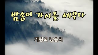 #밤송이가시를세우다 #기령의자작시 #시낭송