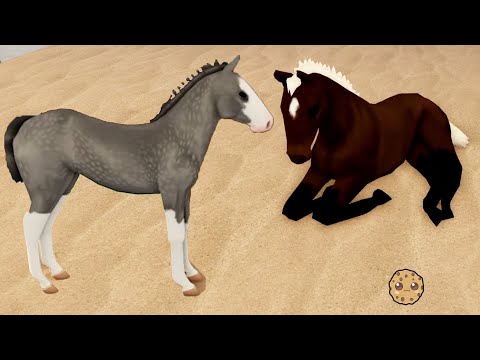 Wild Horse Islands Foals