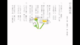 「のじ菊の花」池内晴子