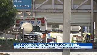 Following multiple fentanyl deaths on Oahu, city council members look for solutions