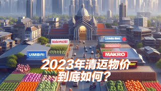 2023年11月清迈物价到底如何，孟买市场和Makro购物成本和上海比一下？