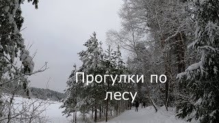 Прогулки по лесу | По променаду  вдоль озера зимой.