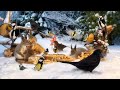 Relax with Forest Friends in Winter Wonderland☃️ 10 hours Cat & Dog TV 😽🐶  4K HDR