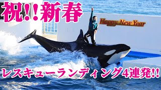 2023年元旦!! 鴨川シーワールド シャチショー KamogawaSeaWorld Orcas