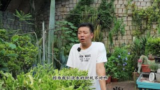 入秋养蟹爪兰，通过“2点”判断浇水，不烂根，新芽多