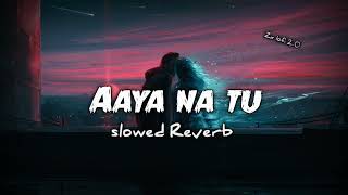 Aaya Na Tu (slowed Reverb) @zxlofi2.0