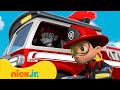 PAW Patrol | PAW Patrol ultimative Rettungsmissionen! mit Chase, Tracker & Marshall | Nick Jr.