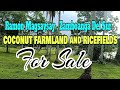 @jopax7576 (property #39)Ramon Magsaysay Coconut Farmland and RICEFIELDS for Sale