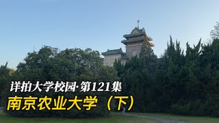 详拍大学校园·第121集：南京农业大学（下）2023 12 01 224834