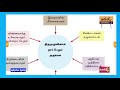 ரோமன் கத்தோலிக்கம் roman catholic grade 04 தரம் 04 கிறிஸ்தவப்பிள்ளை இறைவனின் கொடையாகும்