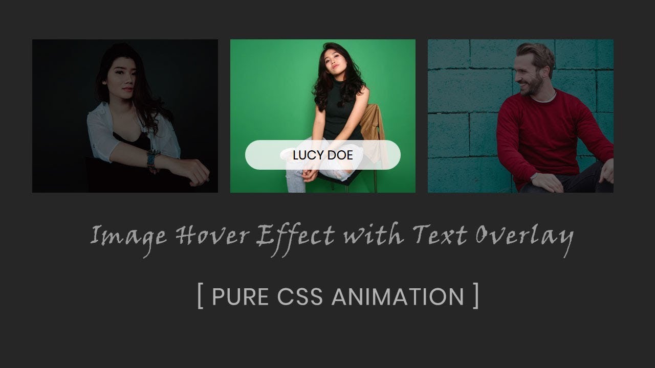 Image Hover Effect With Text Overlay | CSS Image Hover Effects - YouTube