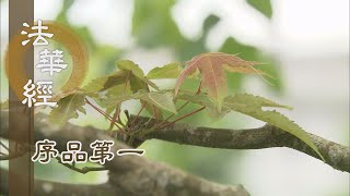 【靜思妙蓮華】法華經序品第一 - 真如性顯 塵去光現 - 20191108 第21集