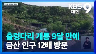 출렁다리 개통 9달 만에 금산 인구 12배 방문…“인삼시장까지 활기” / KBS  2023.02.12.