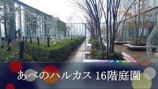 2022年11月撮影 あべのハルカス16階庭園（The 16th floor garden of Abeno Harukas）