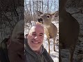 man rescues a deer