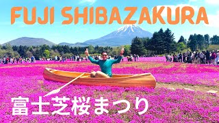 SHIBAZAKURA 富士芝桜まつり 2023 [MOSS PHLOX]