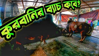 কুরবানির ২০২৫ ব্যাচ এর গরু কবে ঢুকবে খামারে || Purbasha agro