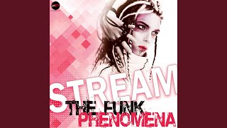 The Funk Phenomena (Radio Edit)