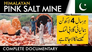 PINK SALT INSIDE HIMALAYAN MOUNTAIN  |   MINED IN PAKISTAN