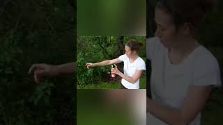 How to make your own Natural Mosquito Repellent #mosquitocontrol #scienceproject #entrepreneurship