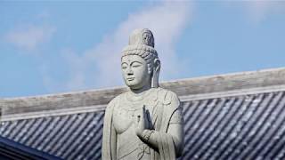 善通寺（ぜんつうじ）空海の生地