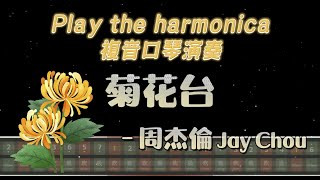 [口琴演奏 Play Harmonica] 周杰倫 Jay Chou - 菊花台 Chrysanthemum Terrace｜複音口琴｜Tremolo｜口琴譜｜口琴教學｜Harmonica tabs