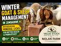 Winter Goat & Sheep Mgt in Zimbabwe - Introducing Mineral Licks for Better Health & Productivity