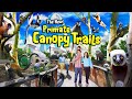 Zoo Tours: The New! Primate Canopy Trails | Saint Louis Zoo