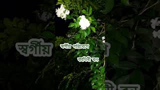 স্বর্গীয় পরিবেশে কামিনী বন||কামিনী||SOBUJ BASANTO||#SHORTS