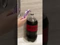 coca cola vs mentos【メントスコーラ】大量のメントスを一気にいれてみた shorts