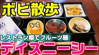 ディズニーシー ぎりぎりレストラン櫻を予約しフルーツ膳を食べた日 Tokyo Disneyland 2022 June 【ボビ散歩】