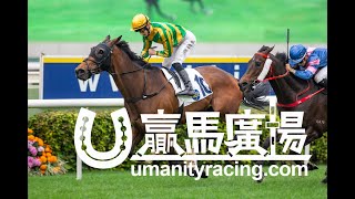 20230402「奇妙年華」勝出後練馬師韋達訪問