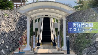 海洋博公園中央側　三菱エスカレーター