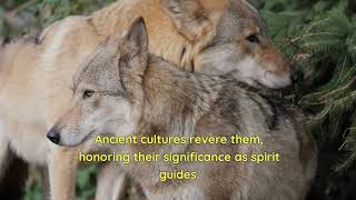 The Majestic Wolves