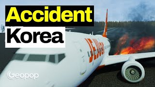 Plane Crash in South Korea with Unseen 3D Animations - Hypotheses, Causes and Questions