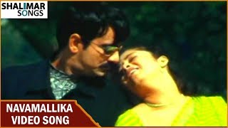 Navamallika Video Song || Ee Abbai Chala Manchodu Movie || Ravi Teja,Vani  || Shalimar Songs