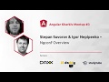 Stepan Suvorov(@stevermeister), Igor Nepipenko(@IgorNepipenko) - ngconf review