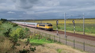 Spoorzicht | Flevolijn Oostvaardersplassen